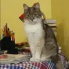 Отзыв от Любовь Хомякова